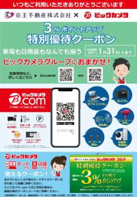 ６．ビックカメラ「3_ポイントアップチラシ」※R9.1.31まで